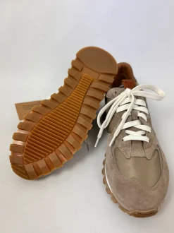 Elia Maurizi Dalia Trainers