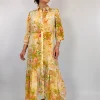Pazuki Maeve Dress Meadow